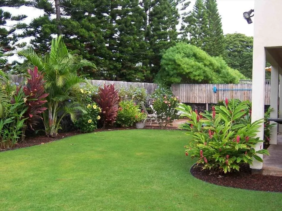 Maintained green lawn surrounded by tropical plants and trees